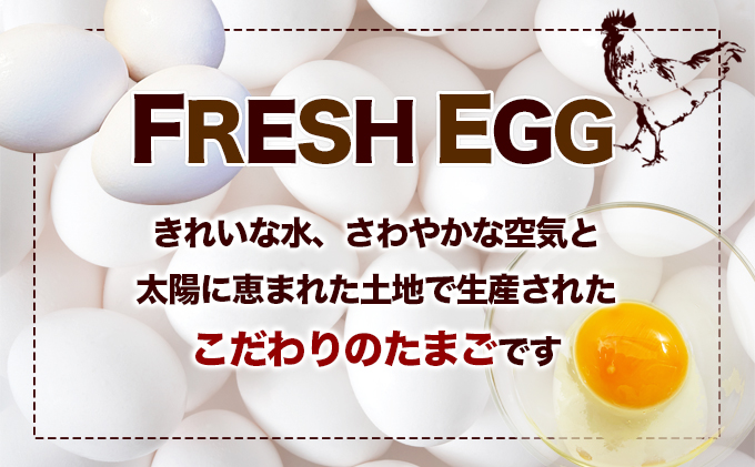 フレッシュエッグ 鶏卵Mサイズ10kg（約160～165個入）（香川県東かがわ市） ふるさと納税サイト「ふるさとプレミアム」