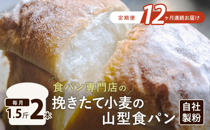 定期便 アラジントースターと相性抜群！挽きたて小麦の山型 食パン 1.5斤 2本 12ヶ月お届け[ 生食パン 常温 パン ショートニング不使用 乳化剤不使用 離乳食 ]