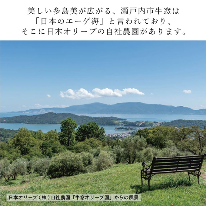 オリーブオイル 石鹸 オリーブ生まれの ナチュラルマインド せっけん 6個 セット|日本オリーブ株式会社