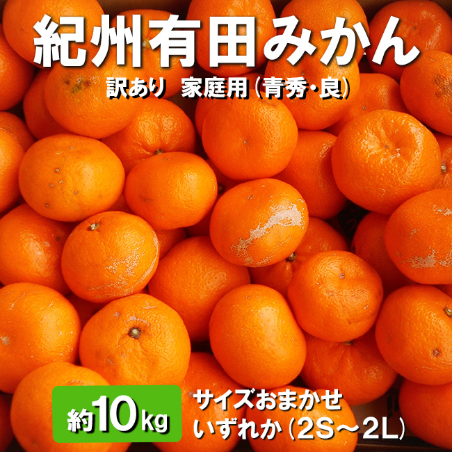 紀州有田みかん 約10kg (2S〜2L) サイズおまかせ いずれか[訳あり 家庭用][青秀・良] ※2023年11月中旬〜2024年1月中旬頃に順次発送予定