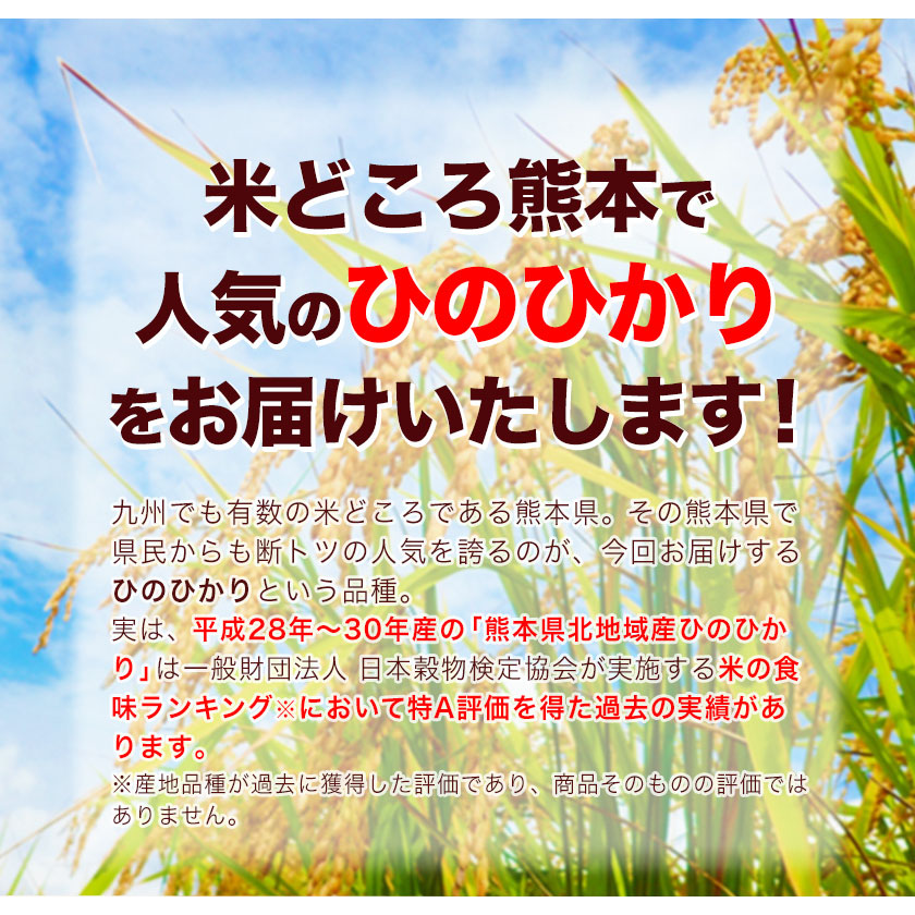 熊本県長洲町のふるさと納税 令和6年産 ひのひかり 選べる精米方法 白米 or 無洗米 5kg 10kg 15kg 20kg《7-14日以内に出荷予定(土日祝除く)》 熊本県産 米 精米 ひの 長洲町