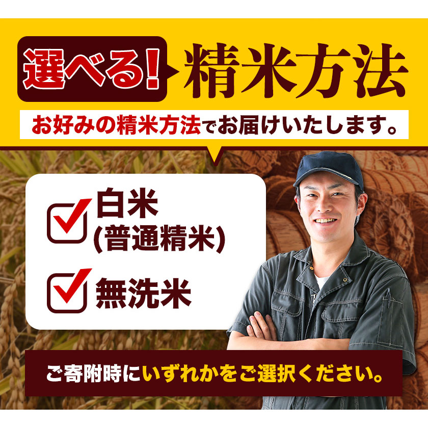 熊本県長洲町のふるさと納税 令和6年産 ひのひかり 選べる精米方法 白米 or 無洗米 5kg 10kg 15kg 20kg《7-14日以内に出荷予定(土日祝除く)》 熊本県産 米 精米 ひの 長洲町