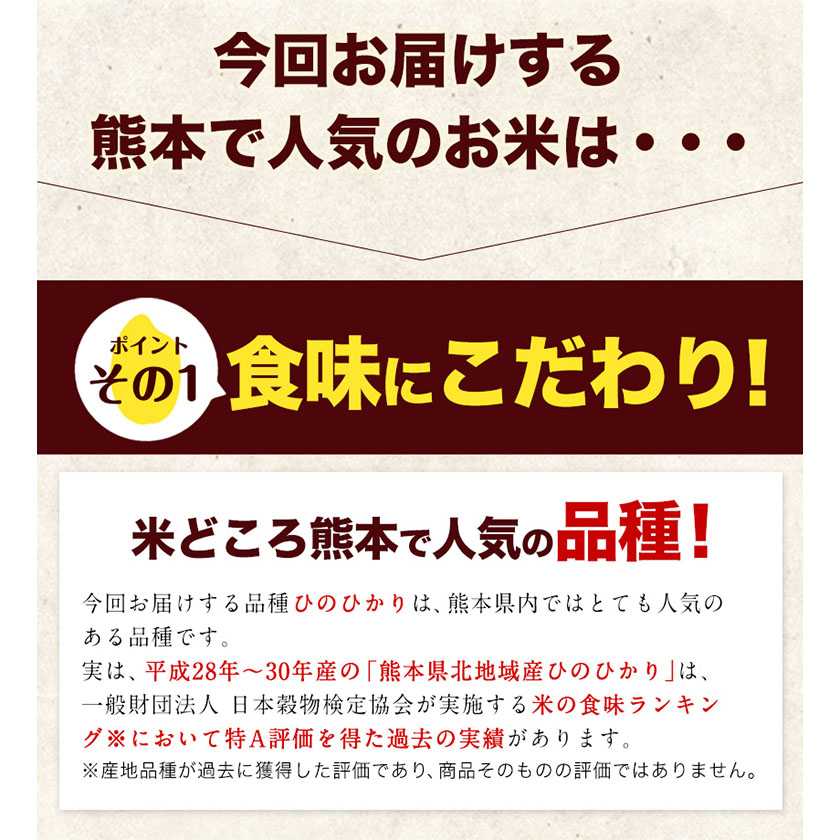 熊本県長洲町のふるさと納税 令和6年産 ひのひかり 選べる精米方法 白米 or 無洗米 5kg 10kg 15kg 20kg《7-14日以内に出荷予定(土日祝除く)》 熊本県産 米 精米 ひの 長洲町