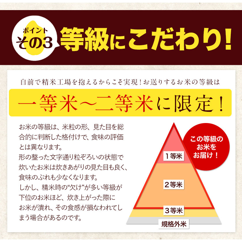 熊本県長洲町のふるさと納税 令和6年産 ひのひかり 選べる精米方法 白米 or 無洗米 5kg 10kg 15kg 20kg《7-14日以内に出荷予定(土日祝除く)》 熊本県産 米 精米 ひの 長洲町