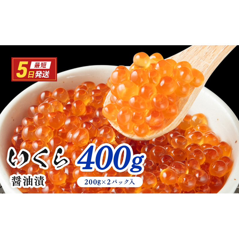 ݖ400gi200g×2Pj^Cv@