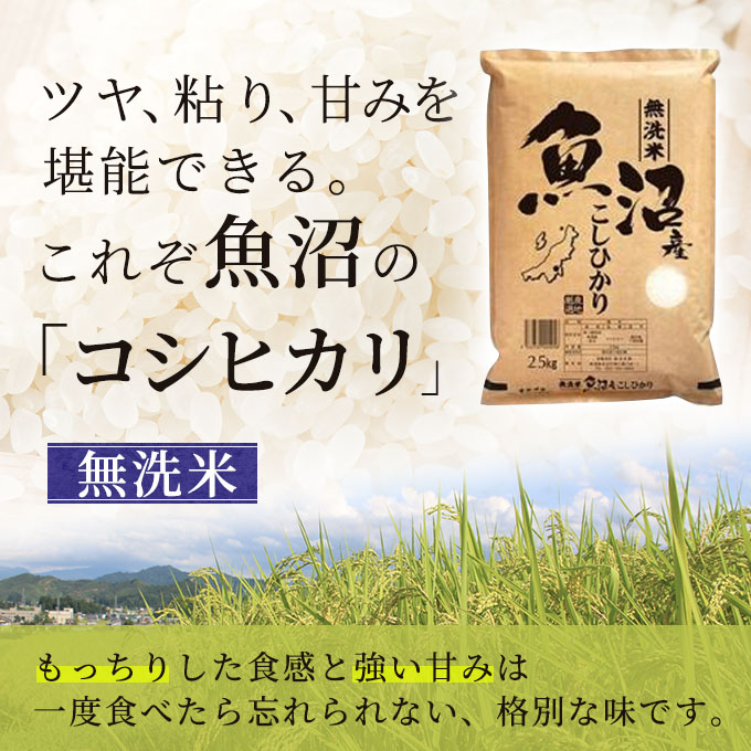新潟県魚沼市のふるさと納税 雪室貯蔵 無洗米 お米マイスター厳選 魚沼産 コシヒカリ 1等米 2.5kg 6ヶ月 連続お届け ( 米 定期便 お米 こめ コメ おこめ 白米 こしひかり 6回 お楽しみ) 新潟県