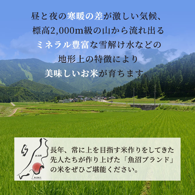 新潟県魚沼市のふるさと納税 雪室貯蔵 無洗米 お米マイスター厳選 魚沼産 コシヒカリ 1等米 2.5kg 6ヶ月 連続お届け ( 米 定期便 お米 こめ コメ おこめ 白米 こしひかり 6回 お楽しみ) 新潟県