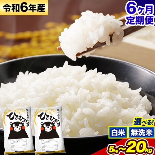 [6ヶ月定期便]令和6年産 無洗米 も選べる ひのひかり 定期便あり 5kg 10kg 15kg 20kg[申込み翌月から発送]令和6年産 熊本県産 ふるさと納税 無洗米 白米 精米 ひの 米 こめ ふるさとのうぜい ヒノヒカリ コメ お米