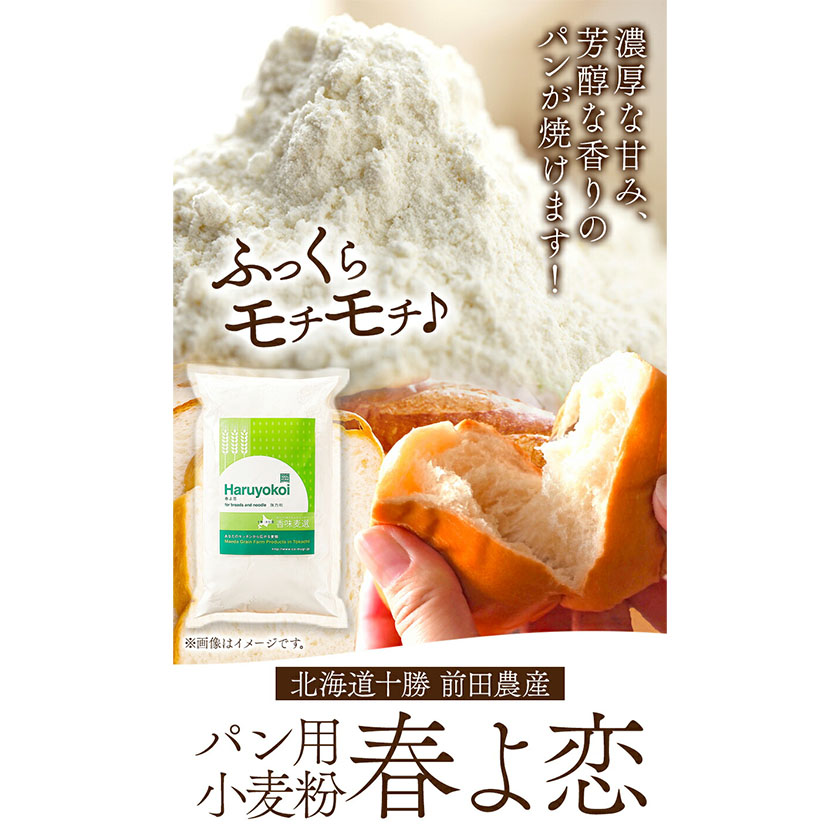 北海道十勝前田農産パン用小麦粉「春よ恋」1kg×10袋 計10袋 有限会社