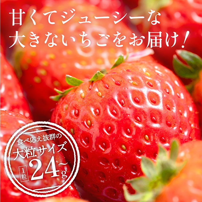 大粒　30粒（兵庫県加西市）　ふるさと納税サイト「ふるさとプレミアム」　かぐや農園の極甘　いちご