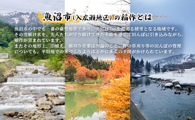 新潟県魚沼市のふるさと納税 令和6年産 北魚沼「奥の極」入広瀬の米（うまし故郷　入広瀬）精米5kg