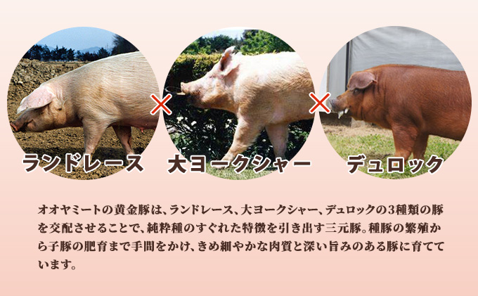 ＜2ヶ月に1回お届け＞伊達産黄金豚挽肉（普通挽き）2.2kg