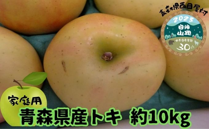 [青森県産りんご]家庭用トキ 約10kg