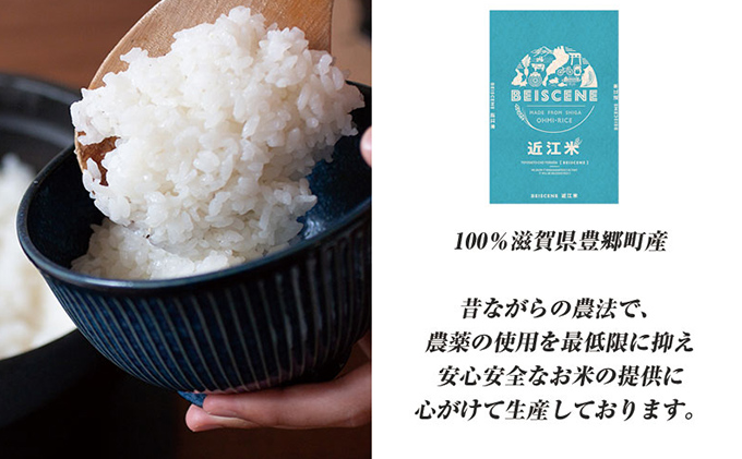 令和5年産 新米 近江米 滋賀県産 コシヒカリ100% 白米10kg 産地直送 - 米