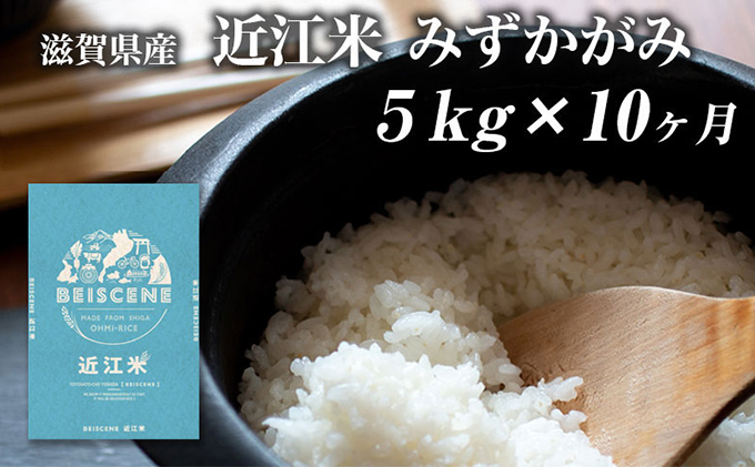 【定期便】令和6年産新米　滋賀県豊郷町産　近江米 みずかがみ　5kg×10ヶ月|株式会社 ベイシーン