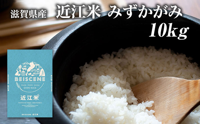 令和5年産 滋賀県豊郷町産 近江米 みずかがみ 10kg / 滋賀県豊郷町