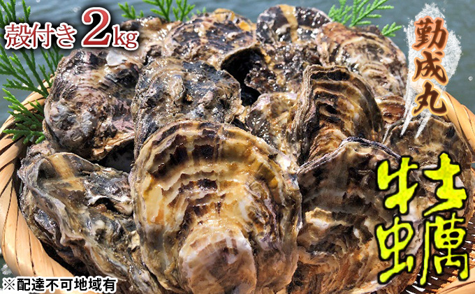 勤成丸の牡蠣 殻付き牡蠣 2.0kg クチコミで探すならふるさと納税ニッポン！
