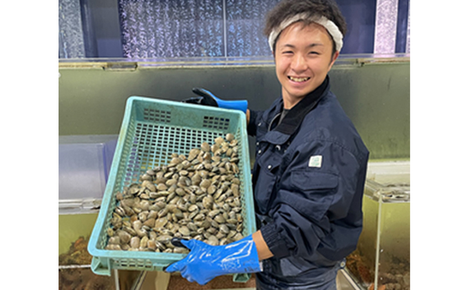 北海道厚岸町のふるさと納税 あさり 北海道 厚岸産 北海あさり 2kg (500g×4パック) 砂出し済み