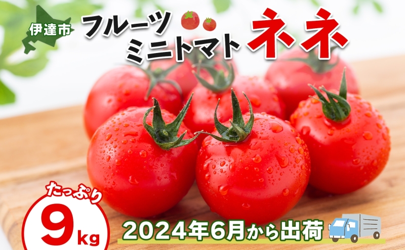 北海道 伊達 大滝農園 ミニトマト 幻の 高糖度 フルーツ ネネ 約9kg トマト フルーツトマト ジューシー 甘い 濃厚