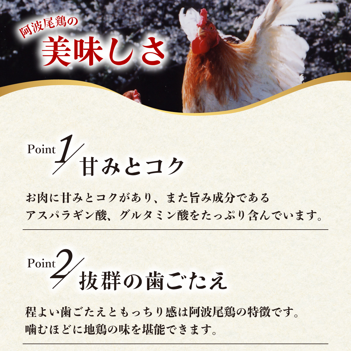 徳島県海陽町のふるさと納税 絶品！阿波尾鶏の焼き鳥串（20本）と手羽元500ｇセット　