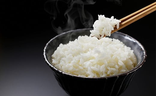 山形県南陽市のふるさと納税 JA 特別栽培米 つや姫 10kg (5kg×2袋) 『JA山形おきたま』 山形置賜産 米 精米 山形県 南陽市 [639]