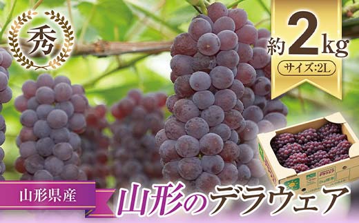 【令和7年産先行予約】 JA デラウェア 