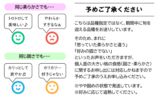 山形県南陽市のふるさと納税 【令和6年産先行予約】 硬めの白桃 約2kg (5～10玉 秀品) 《令和6年8月下旬～10月上旬発送》 『フードシステムズ』 山形県 南陽市 [1383]