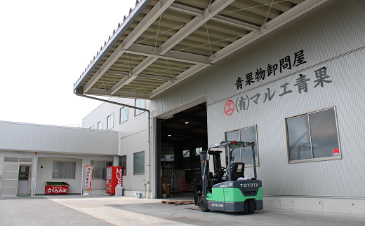 山形県南陽市のふるさと納税 【令和7年産先行予約】 さくらんぼ 「紅秀峰」 約500g (特秀 2L) 《令和7年6月下旬～発送》 『マルエ青果』 先行予約 サクランボ 果物 フルーツ 山形県 南陽市 [1406]