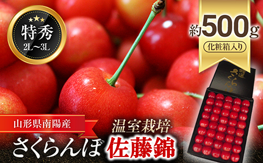 [令和6年産先行予約] 温室さくらんぼ 「佐藤錦」 約500g (特秀 2〜3L) 化粧箱入り [令和6年5月下旬〜発送] 『松田観光果樹園』 さくらんぼ サクランボ 生産農家直送 温室栽培 果物 フルーツ デザート 先行予約 予約 山形県 南陽市 [617]