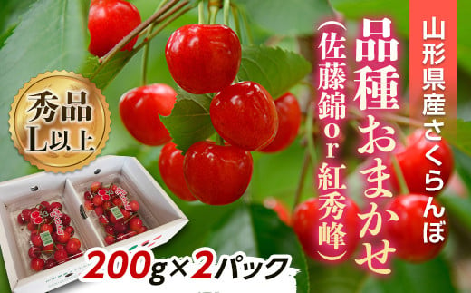 【令和7年産先行予約】 さくらんぼ 「佐藤