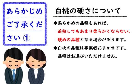 山形県南陽市のふるさと納税 【令和7年産先行予約】 《定期便4回》 フルーツ味わい定期便C 『フードシステムズ』 山形県 南陽市 [1142-R7]