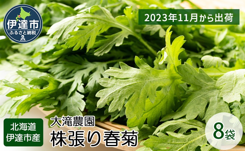 北海道 伊達 大滝農園 株張り春菊 8袋 野菜 サラダ