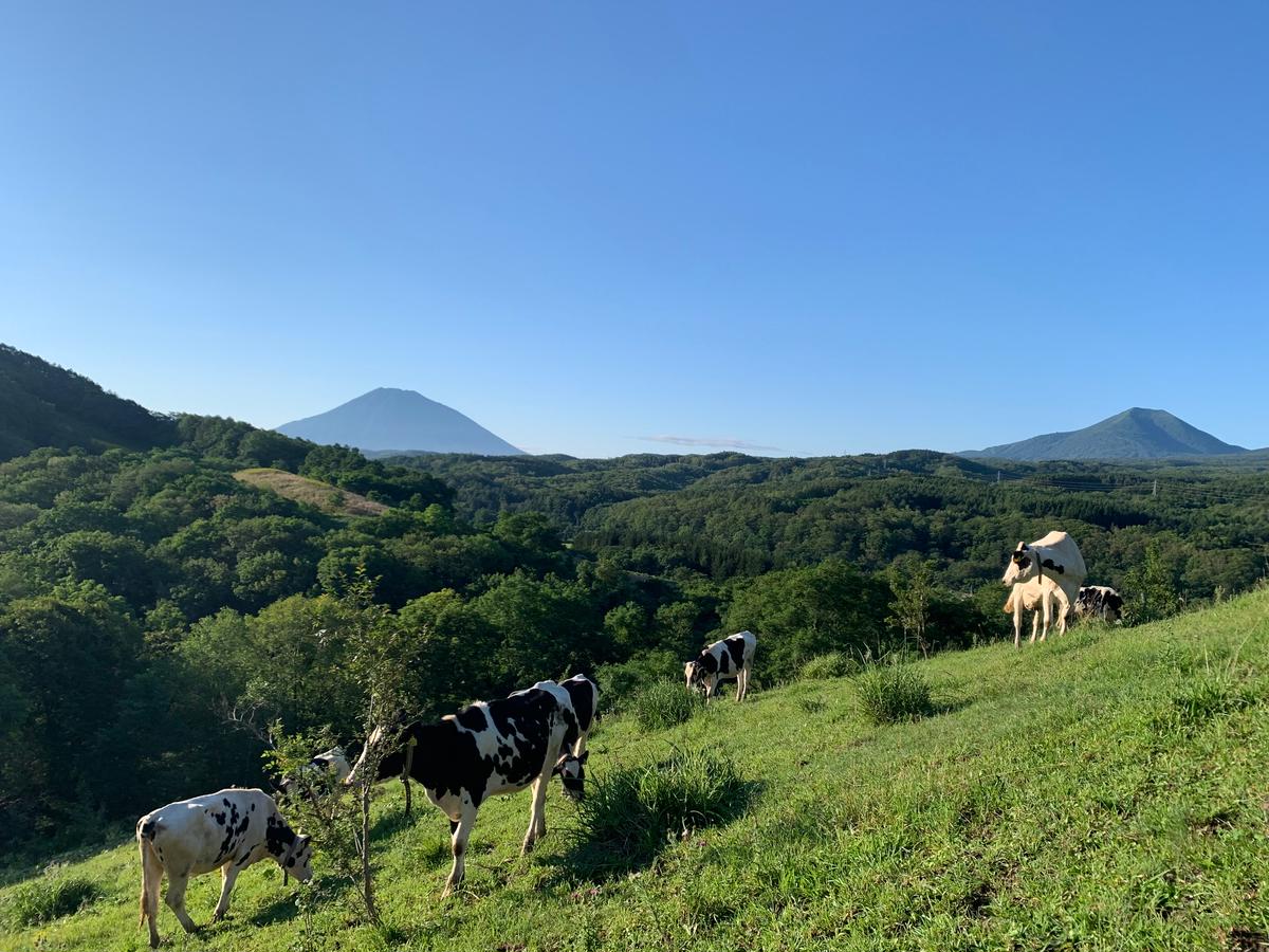 北海道共和町のふるさと納税 【3ヵ月定期便】アイス 三田牧場 特製 アイスクリーム 10個 セット ミルク チョコレート いちごミルク ラムレーズン 抹茶 お菓子