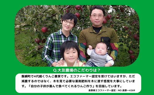 黄紅彩りMIXりんご サンふじ シナノゴールド 家庭用 3kg × 各1箱 黄紅彩りMIXりんご サンふじ シナノゴールド 家庭用 3kg × 各1箱