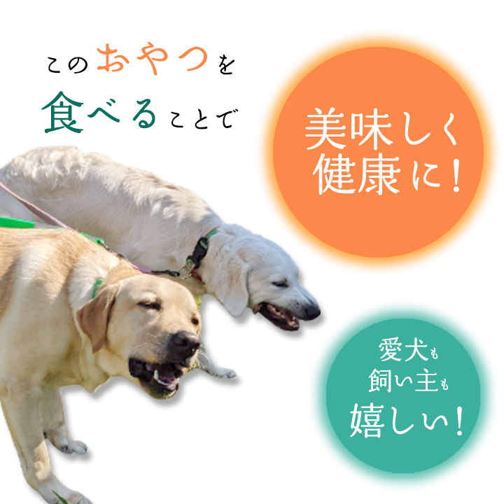 無添加 犬用 おやつ 鹿骨ジャーキー 150g 鹿 ジャーキー ペット 