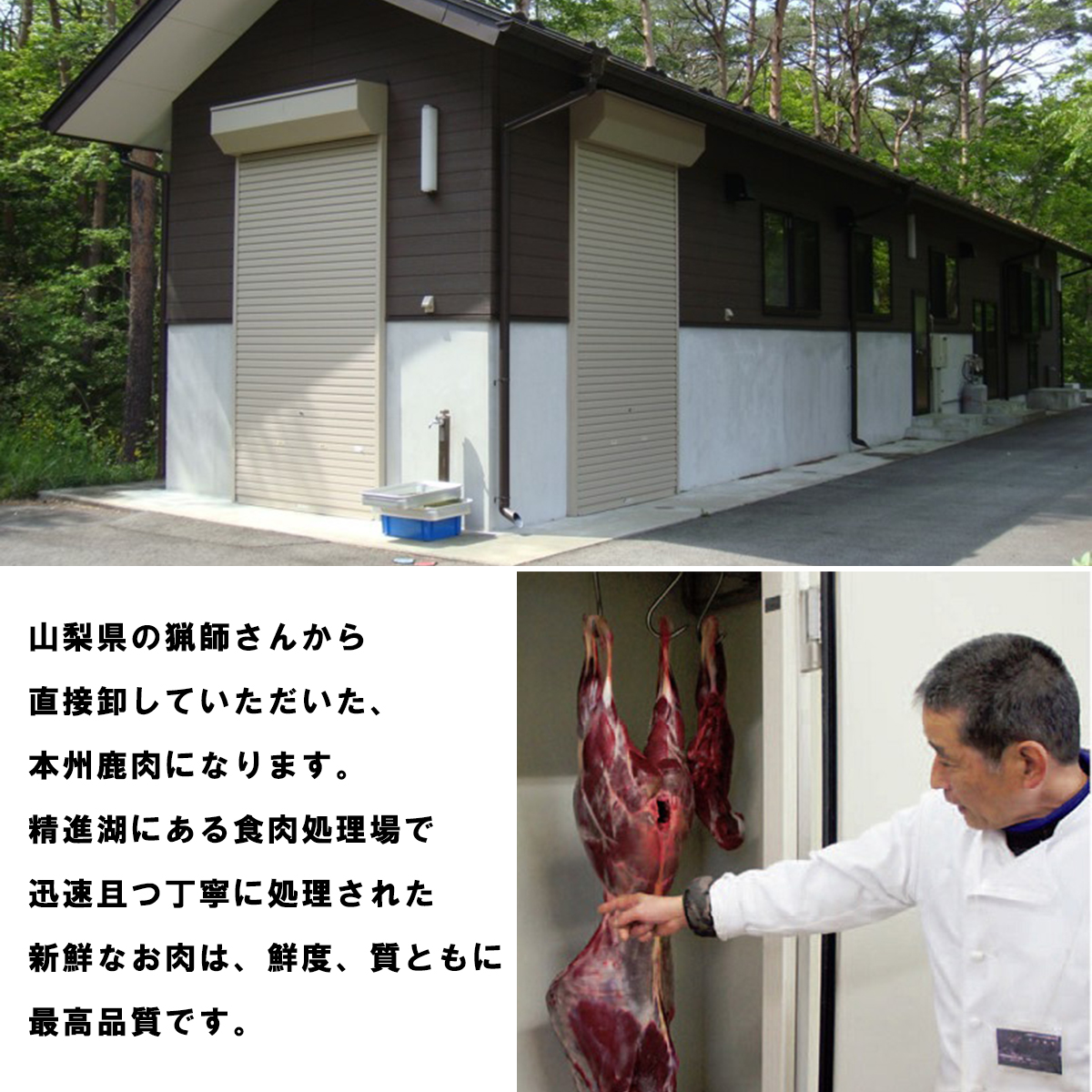 無添加 犬用 おやつ 鹿肉アキレス腱 （中サイズ） 鹿骨ジャーキー 鹿