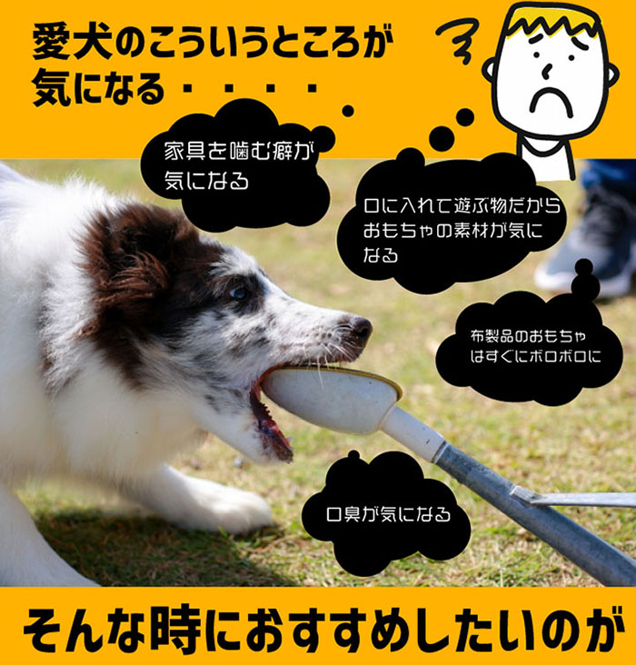 無添加 大型犬用 おやつ 鹿骨ビッグボーン 小 （大腿骨） 鹿骨