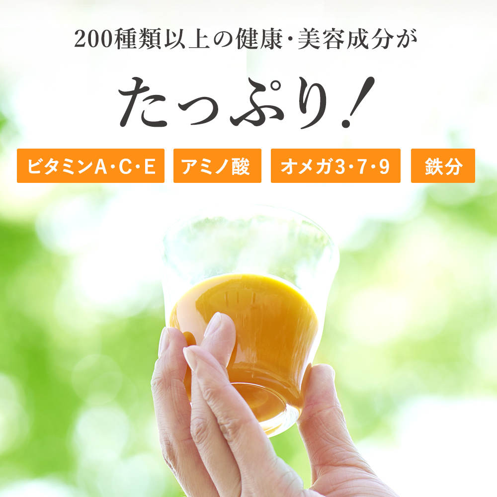 茨城県古河市のふるさと納税 サジージュース 100%と+ゆず 1000ml×各1本セット（計2本） | サジージュース サジー シーベリー 沙棘 グアマラル 健康ドリンク ドリンク ジュース 健康 美容 栄養 果汁 鉄分補給 栄養補給 健康食品 飲みくらべ セット  贈答 贈り物 プレゼント ギフト 茨城県 古河市 送料無料 _DX06