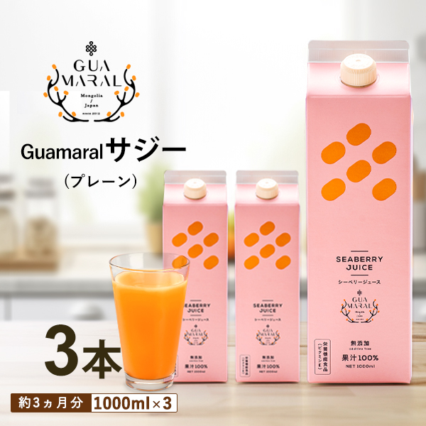 サジージュース 100% 1000ml×3本セット | サジージュース サジー シーベリー 沙棘 グアマラル 健康ドリンク ドリンク ジュース 健康  美容 栄養 果汁 鉄分補給 栄養補給 健康食品 贈答 贈り物 プレゼント ギフト 茨城県 古河市 送料無料 _DX07|株式会社宝島ジャパン