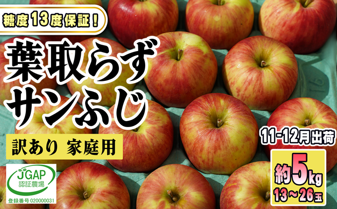 青森県産りんご「葉取らずサンつがる」　通販