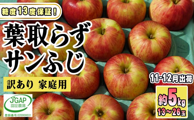 11～12月発送【糖度保証】家庭用 葉取らず サンふじ 約5kg【訳あり】【鶴翔りんごGAP部会 青森県産 津軽産 リンゴ 林檎】 / 青森県鶴田町  | セゾンのふるさと納税