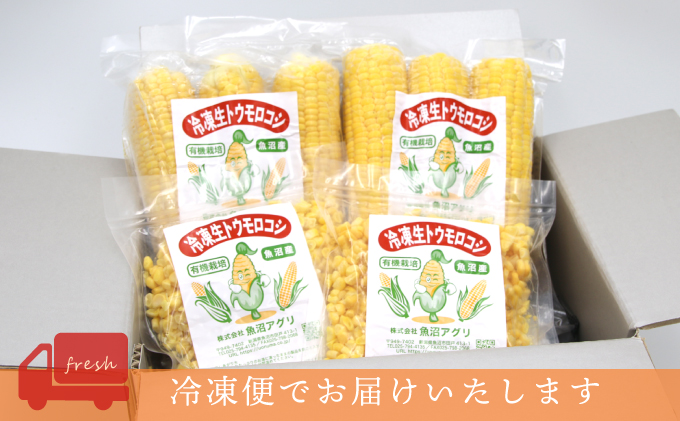 新潟県魚沼市のふるさと納税 魚沼産 冷凍生とうもろこしと冷凍粒とうもろこしのセット 野菜 国産 日本産 簡単 便利 コーン 冷凍コーン ゴールドラッシュ 新潟県産 食材 食べ物 直送 産地直送