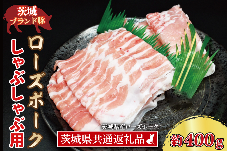 y錧z[Y|[N Ԃԗp 400g ([X200g ΂200g) (2`3lO) ( 錧ʕԗiE錧Y ) uh Ԃ  Y ؓ Ⓚ