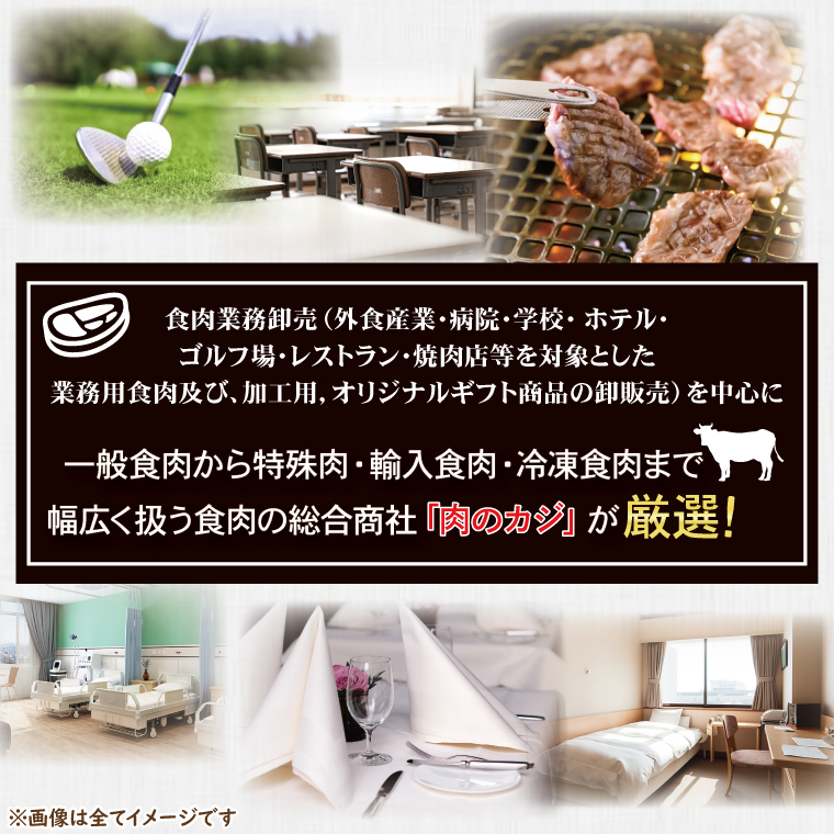 茨城県大洗町のふるさと納税 【 ギフト用 】 常陸牛 肩 ロース しゃぶしゃぶ用 約360g (2～3人前) ( 茨城県共通返礼品・茨城県産 ) ブランド牛 茨城 国産 黒毛和牛 霜降り 牛肉 しゃぶしゃぶ 冷凍 内祝い 誕生日 お中元 贈り物 お祝い