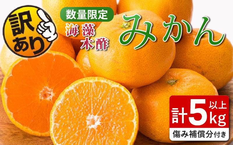 宮崎県日南市のふるさと納税 訳あり 数量限定 海藻木酢みかん 計5kg以上 傷み補償分付き フルーツ 果物 くだもの 柑橘 みかん　国産 期間限定 食品 家庭用 自宅用 B品 わけあり オレンジ デザート おやつ おすすめ おすそ分け ご褒美 お取り寄せ グルメ 産地直送 宮崎県 日南市 送料無料_ZZ22-24