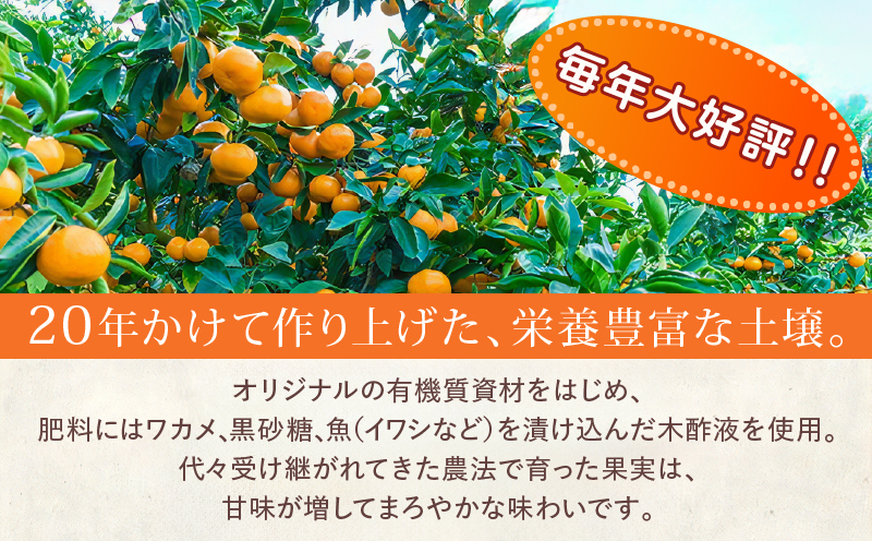 宮崎県日南市のふるさと納税 訳あり 数量限定 海藻木酢みかん 計5kg以上 傷み補償分付き フルーツ 果物 くだもの 柑橘 みかん　国産 期間限定 食品 家庭用 自宅用 B品 わけあり オレンジ デザート おやつ おすすめ おすそ分け ご褒美 お取り寄せ グルメ 産地直送 宮崎県 日南市 送料無料_ZZ22-24