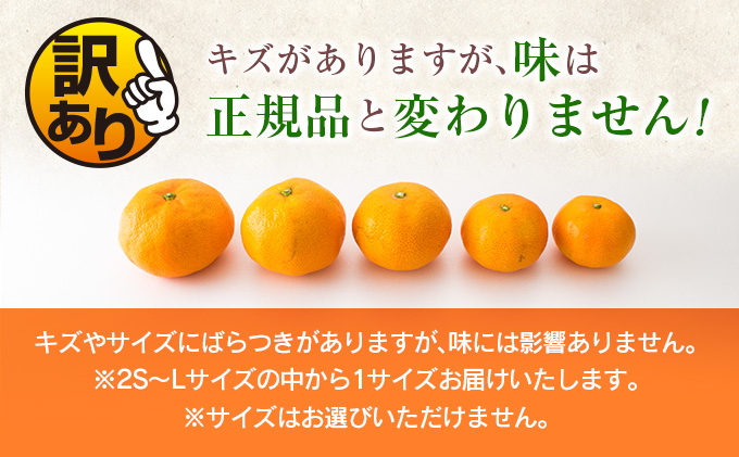 宮崎県日南市のふるさと納税 訳あり 数量限定 海藻木酢みかん 計5kg以上 傷み補償分付き フルーツ 果物 くだもの 柑橘 みかん　国産 期間限定 食品 家庭用 自宅用 B品 わけあり オレンジ デザート おやつ おすすめ おすそ分け ご褒美 お取り寄せ グルメ 産地直送 宮崎県 日南市 送料無料_ZZ22-24