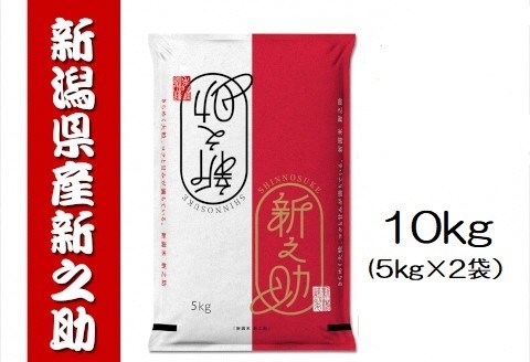 新之助 10kg(5kg×2袋) 白米 精米 井上米穀店 1I05018