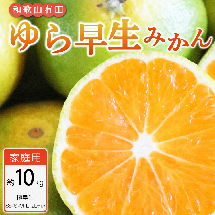 [ご家庭用 極早生]和歌山有田ゆら早生みかん約10kg(SS、S、M、L、2Lサイズ) ※配送不可地域あり※2023年10月下旬頃〜11月中旬頃に順次発送予定