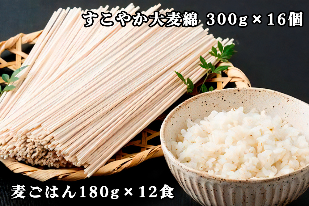 濱田の大麦セット 食物繊維たっぷり!美味しく食べて 健康増進|大麦 麦ごはん 麺 無添加 セット ギフト 贈りもの 健康 食物繊維 [0137]